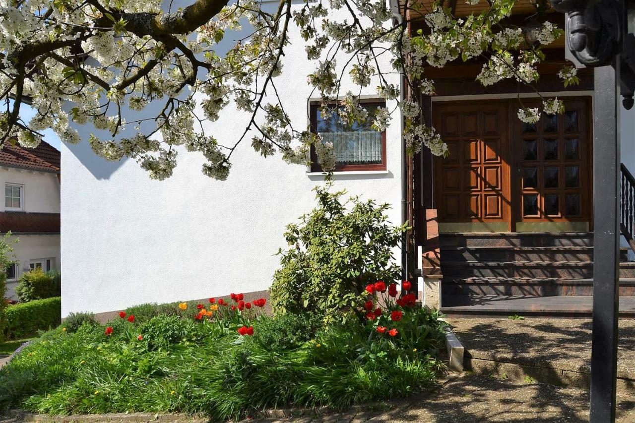 Fewo Ackermann Modautal Exterior photo